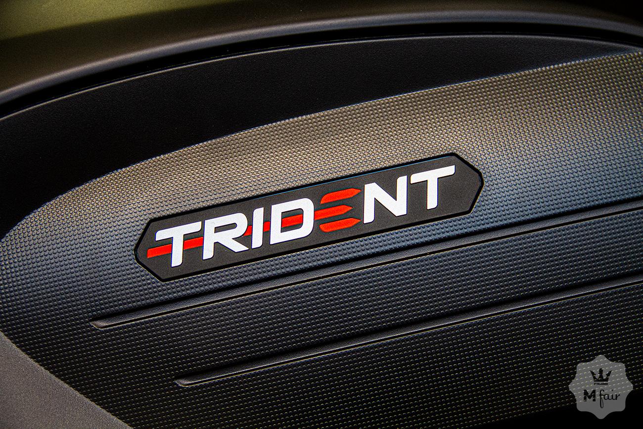 Продажа городского родстера Triumph Trident 660 '2021 в Киеве