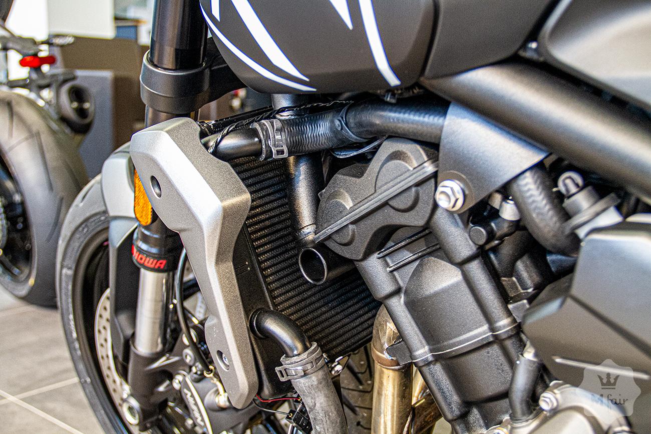 Продажа городского родстера Triumph Trident 660 '2021 в Киеве