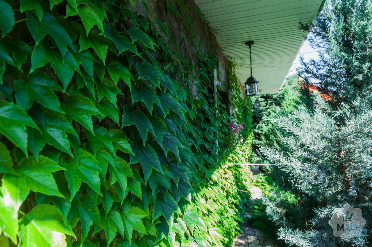 Продажа современный дома под Киевом в с. Святопетровское