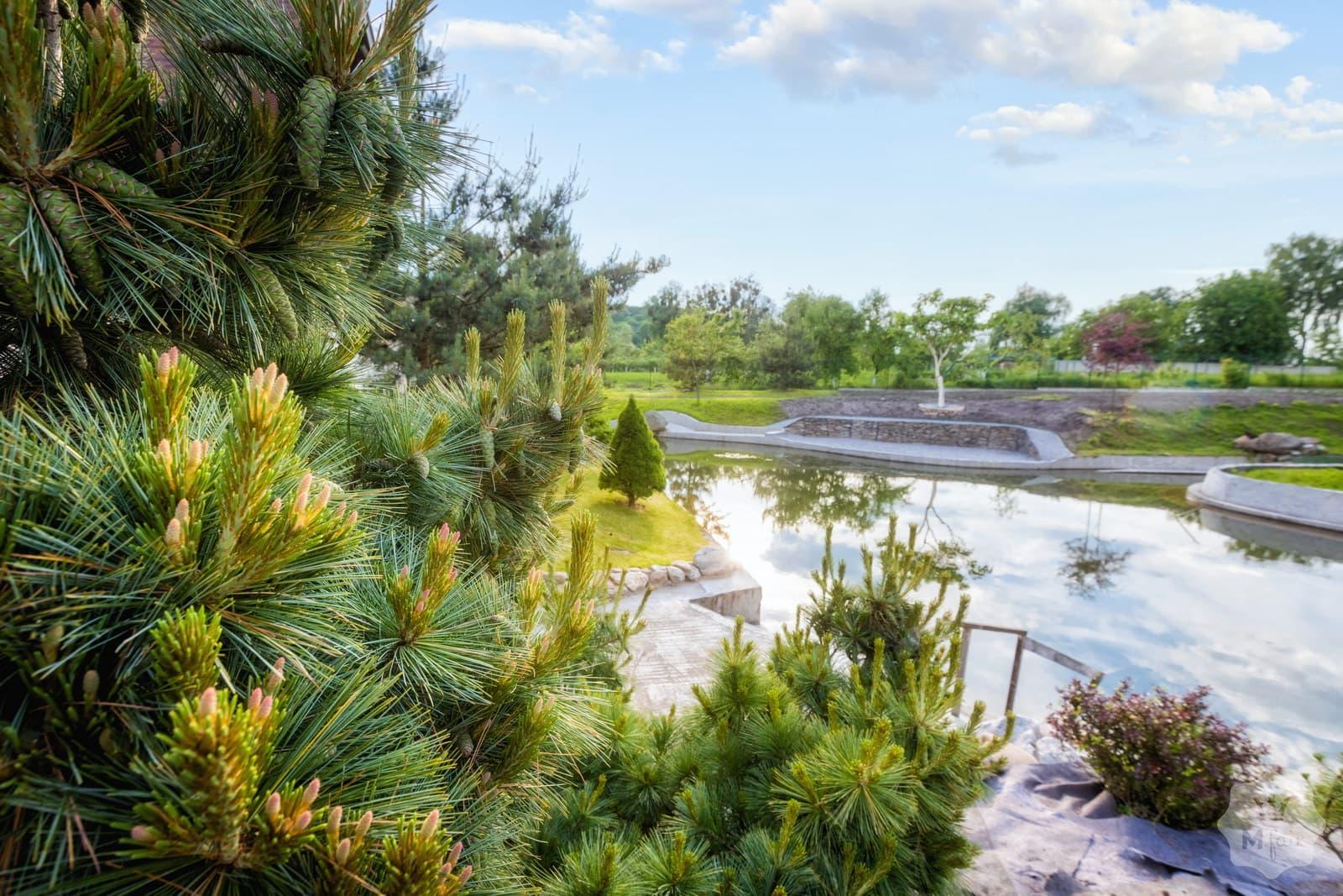 Продажа усадьбы под Киевом на берегу реки в с. Германовка