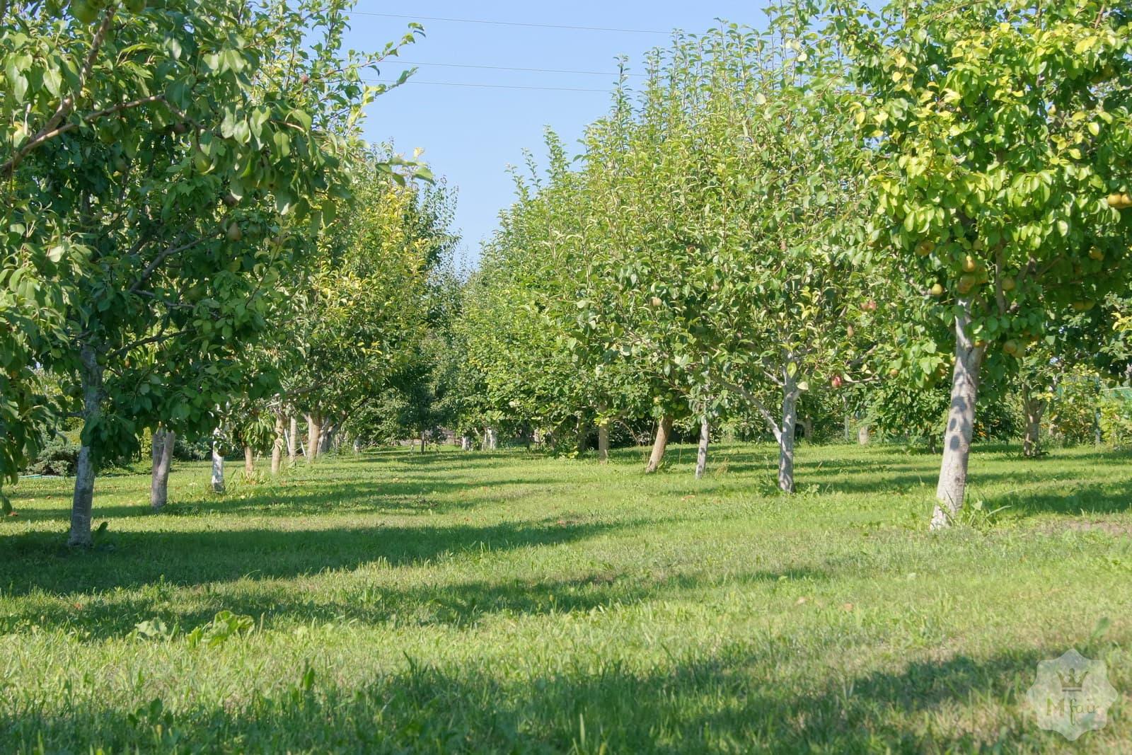 Продажа усадьбы под Киевом на берегу реки в с. Германовка